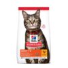 Hills Science Plan Feline Adult - Chicken Cat Dry Food