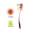 Pawise  Ball Launcher With Tennis ball & extra glowing ball. Enables you to throw the ball further and pick it up without bending or getting your hands dirty