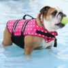 Life Jacket Keep your furry friend safe during water adventures, top performing flotation with the comfort. Colours May Very