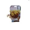 PLASTIC PLANT 5”