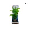 PLASTIC PLANT  9”