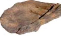 FIBERGLASS STREAM CANYON WL 22